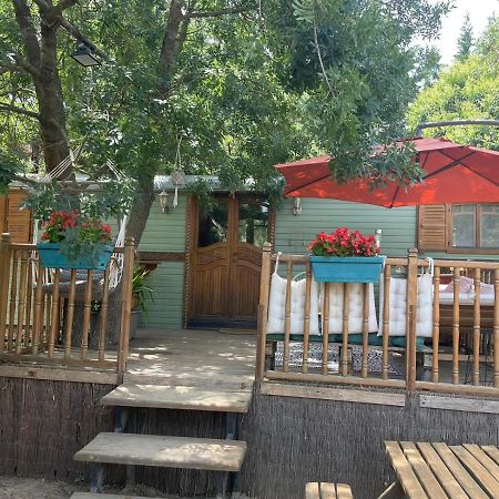 Гостьовий будинок Roulotte En Bois Sud France Le Soler Екстер'єр фото