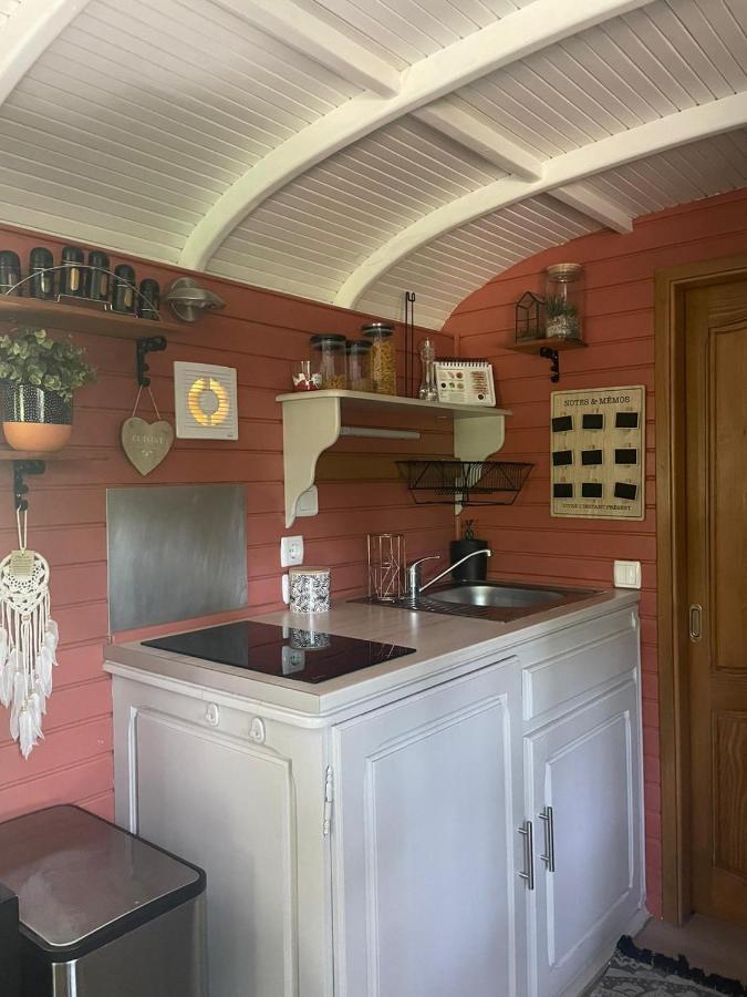 Гостьовий будинок Roulotte En Bois Sud France Le Soler Екстер'єр фото