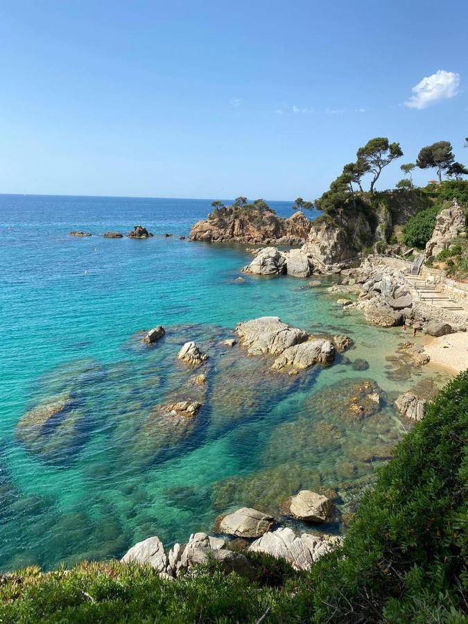 Гостьовий будинок Roulotte En Bois Sud France Le Soler Екстер'єр фото