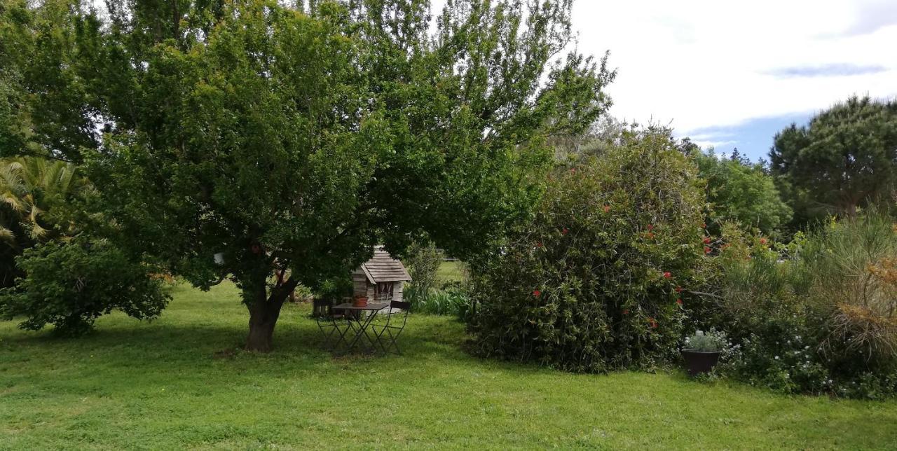 Гостьовий будинок Roulotte En Bois Sud France Le Soler Екстер'єр фото