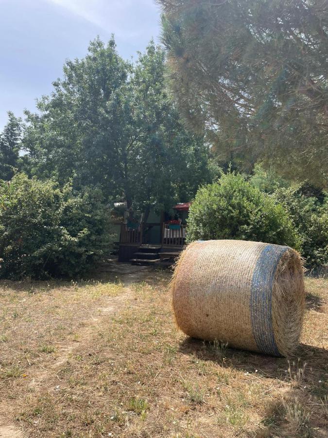 Гостьовий будинок Roulotte En Bois Sud France Le Soler Екстер'єр фото