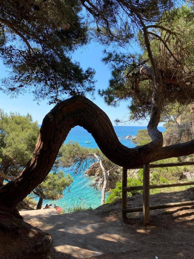 Гостьовий будинок Roulotte En Bois Sud France Le Soler Екстер'єр фото