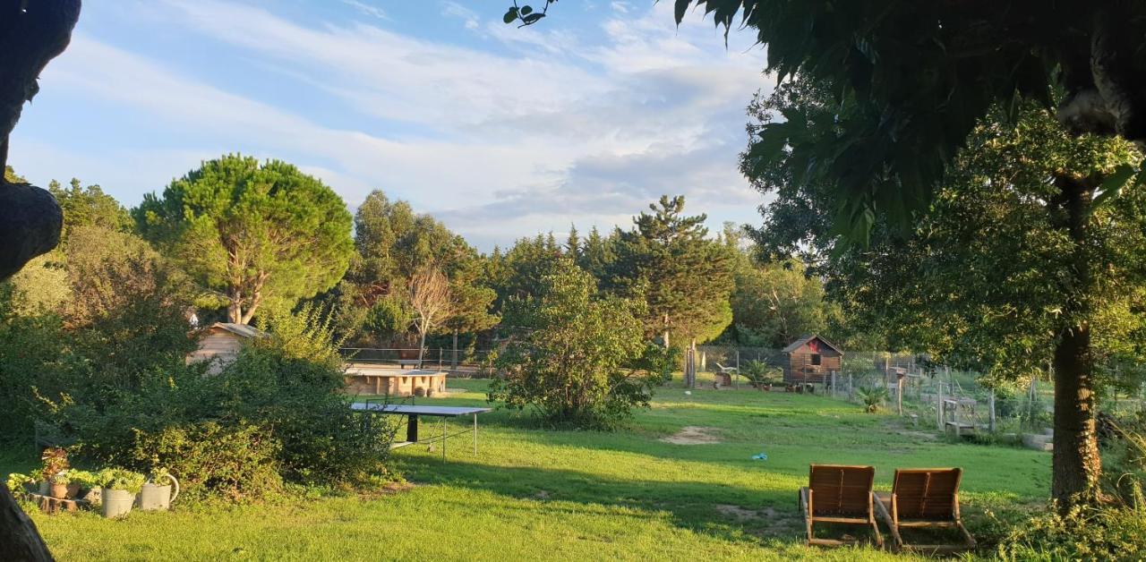 Гостьовий будинок Roulotte En Bois Sud France Le Soler Екстер'єр фото